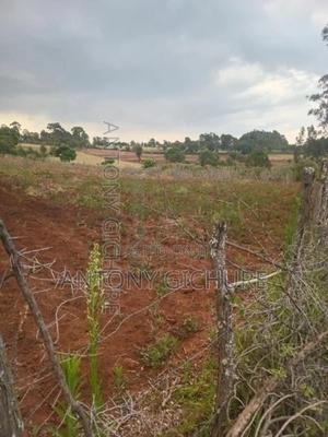 Land 5 Acre - thumbnail 2