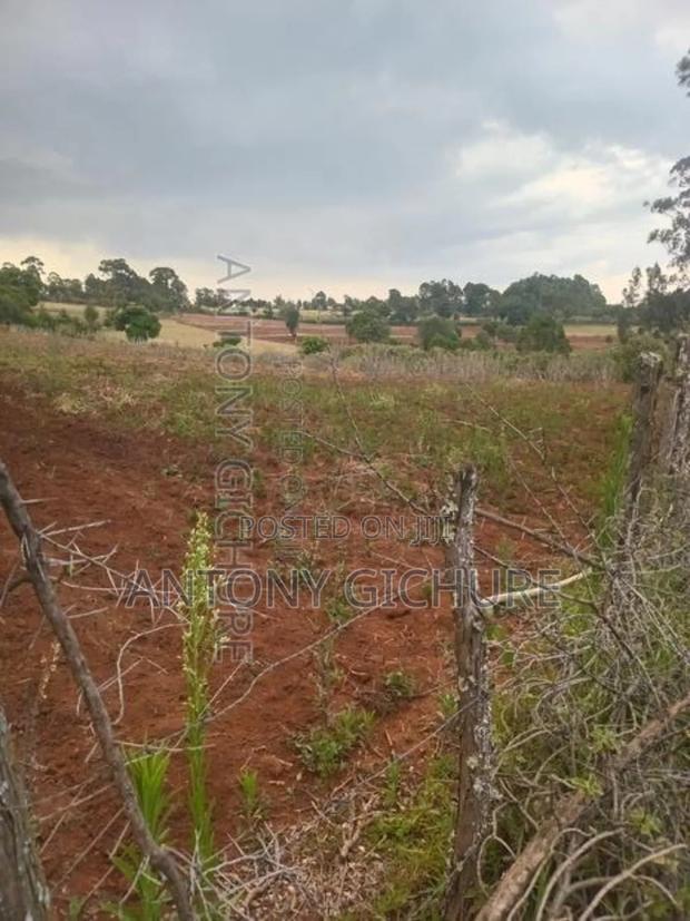 Land 5 Acre - main view