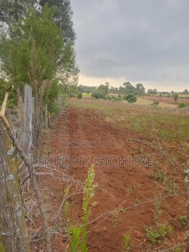 Land 5 Acre - thumbnail 3