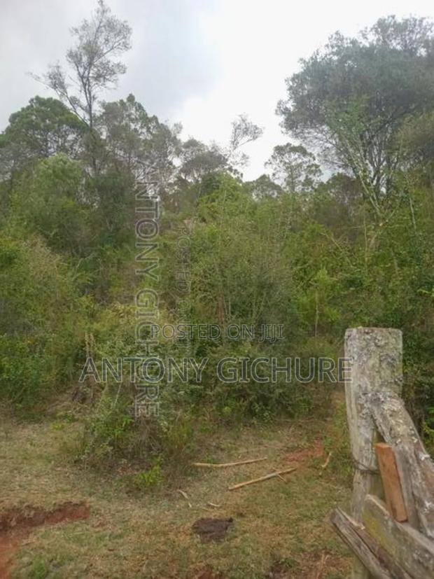 Land 5 Acre - thumbnail 4