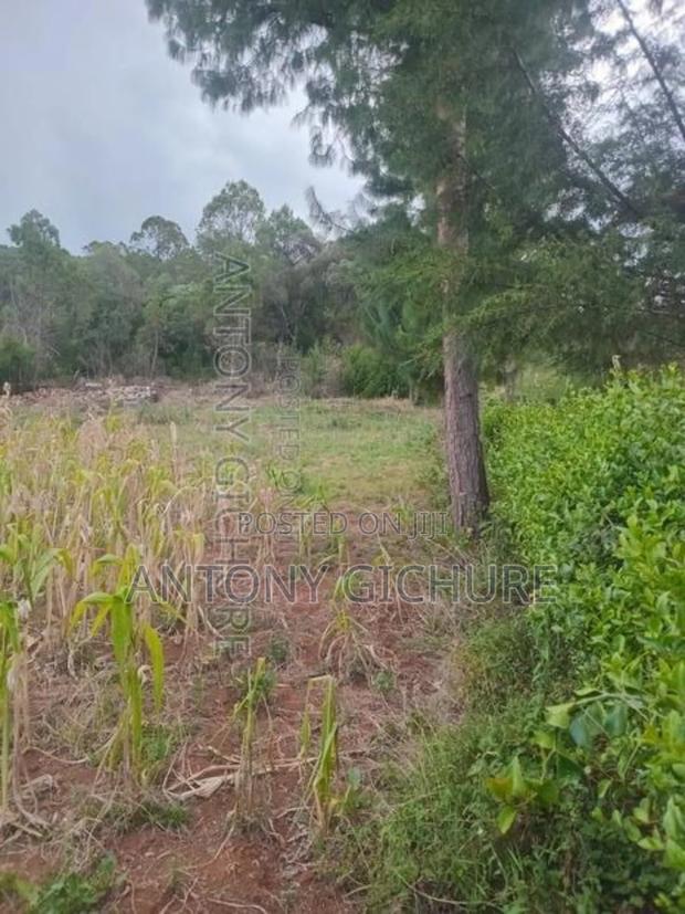 Land 5 Acre - thumbnail 5