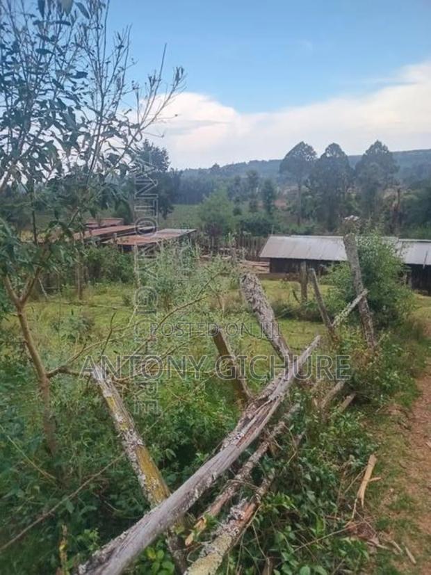 Land 5 Acre - thumbnail 6