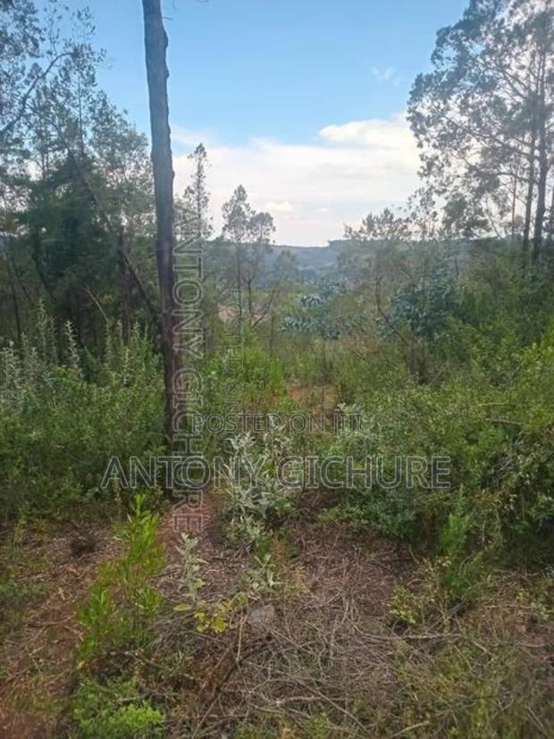 Land 5 Acre - thumbnail 7