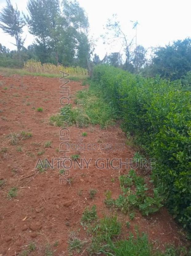 Land 5 Acre - thumbnail 8