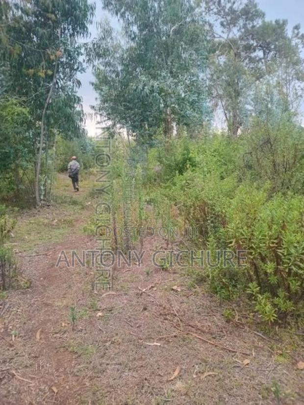 Land 5 Acre - thumbnail 9