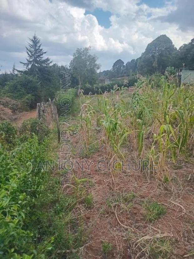 Land 5 Acre - thumbnail 10