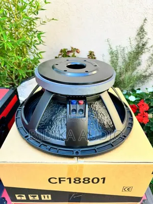 Quality and Original the Cf18801 Naked Speaker