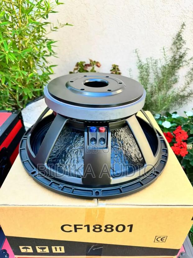 Quality and Original the Cf18801 Naked Speaker