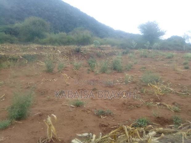 Shamba on Sale - main view