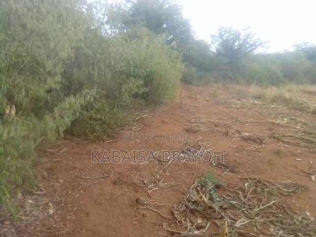 Shamba on Sale - thumbnail 7