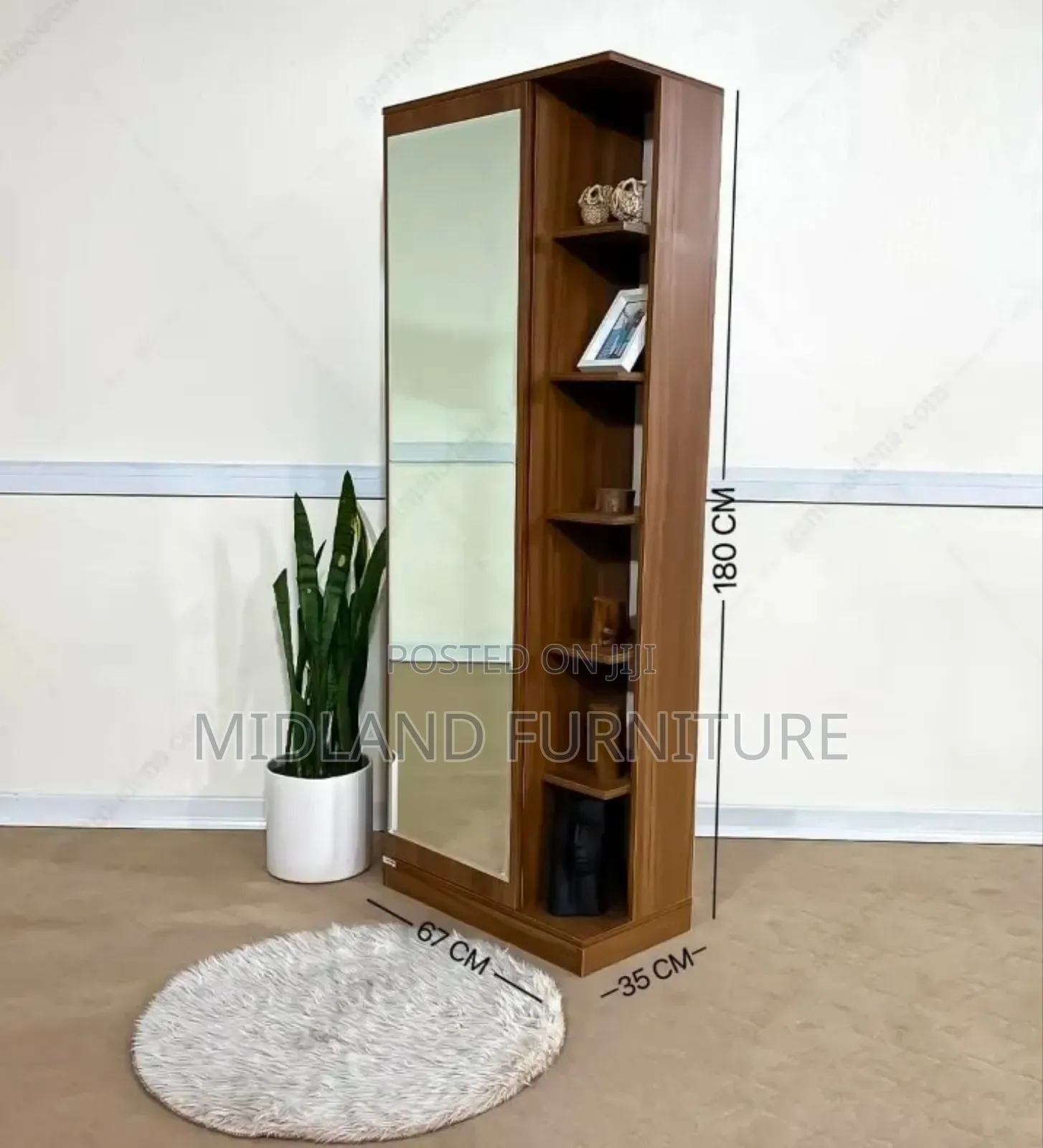 Shoe Cabinets With a Dressing Mirror