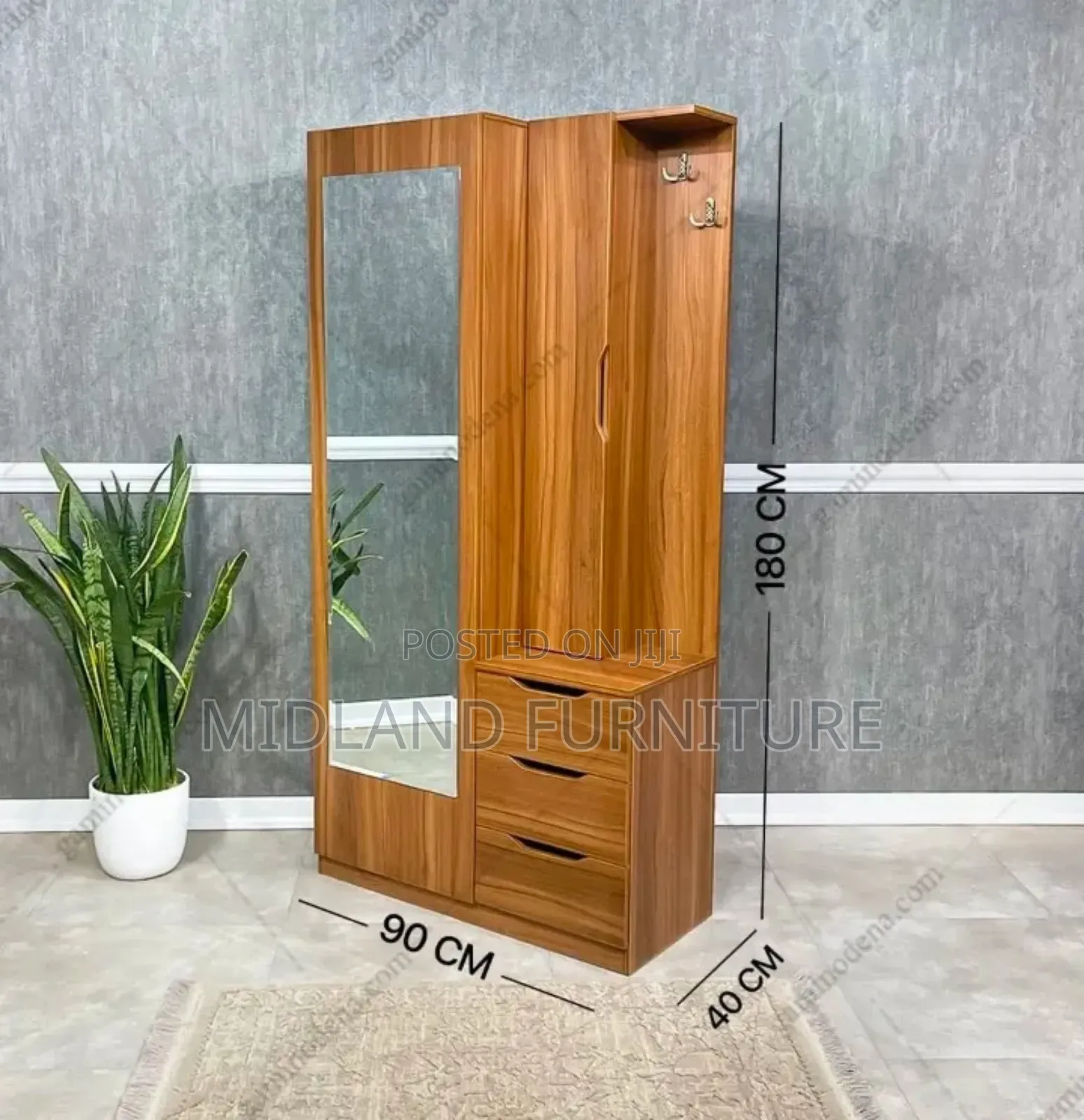Shoe Cabinets With a Dressing Mirror
