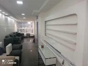 Cv. Skilled Painter