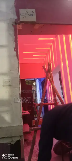 Cv. Skilled Painter