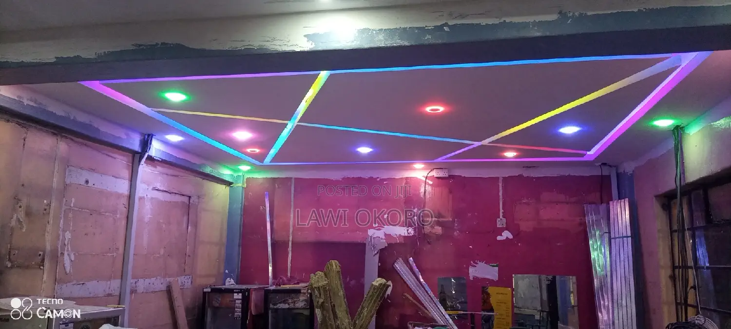 Cv. Skilled Painter