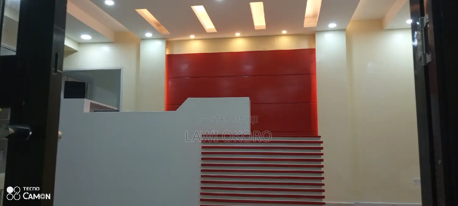 Cv. Skilled Painter