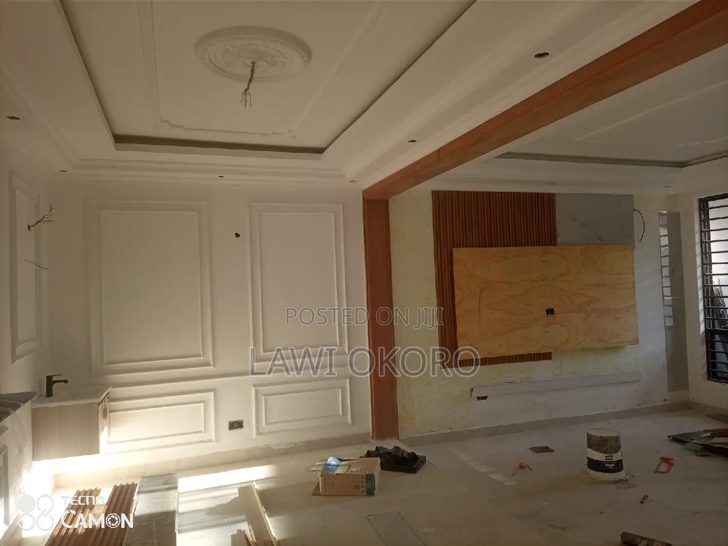 Cv. Skilled Painter