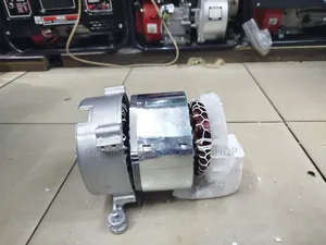 Generator Coil