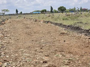 Well-Developed Gated Plots in Ruiru-Kamakis ^Jm