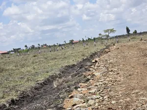 Well-Developed Gated Plots in Ruiru-Kamakis ^Jm