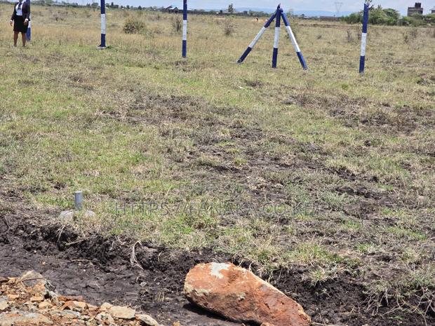 Own a Piece of Kamakis Today for - thumbnail 2