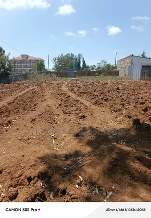 1/4 Plot Kimumu With Title