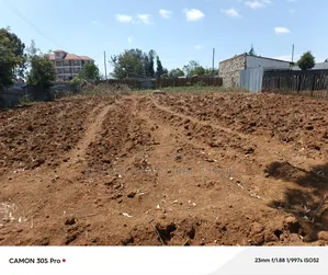 1/4 Plot Kimumu With Title