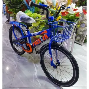 Bike Size 20