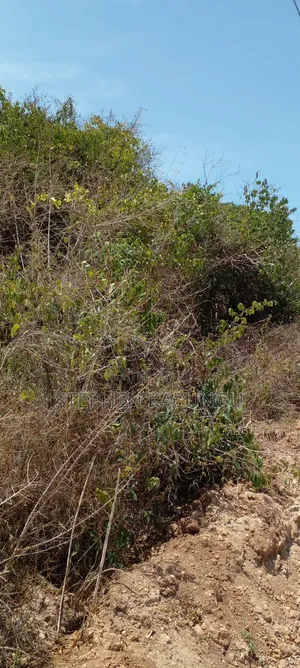 1/2 Acre Plot on 3rd Row in Galu Beach