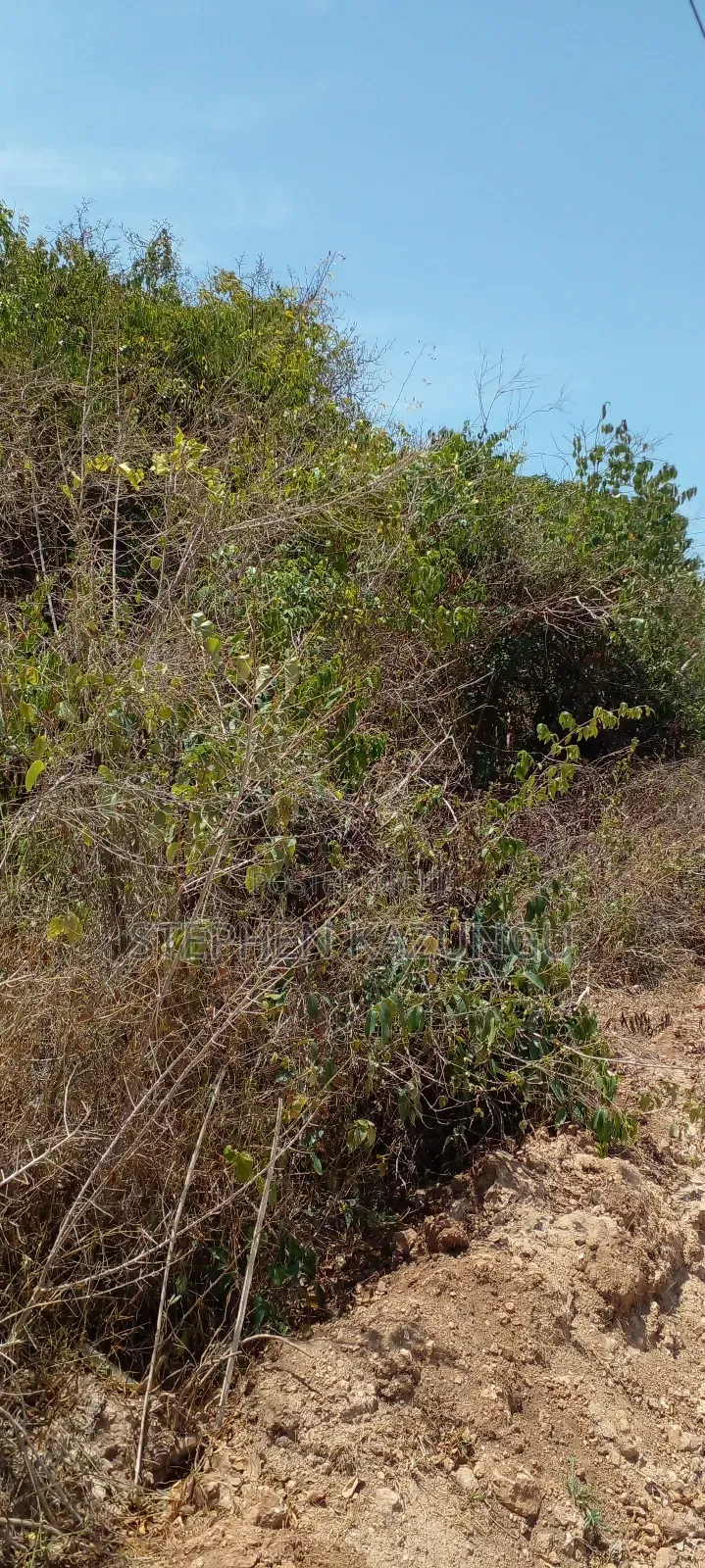 1/2 Acre Plot on 3rd Row in Galu Beach