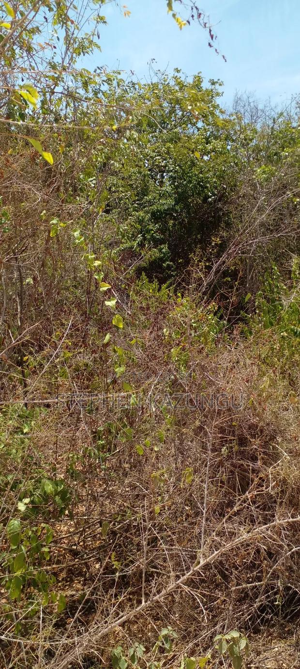 1/2 Acre Plot on 3rd Row in Galu Beach - thumbnail 6