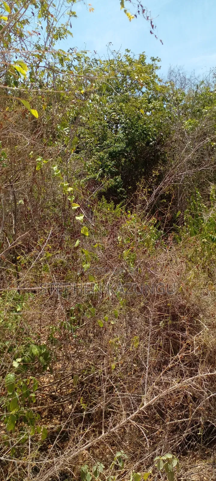 1/2 Acre Plot on 3rd Row in Galu Beach
