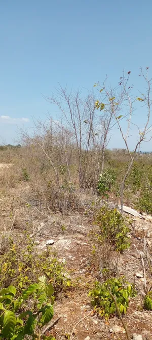 1/2 Acre Plot on 3rd Row in Galu Beach