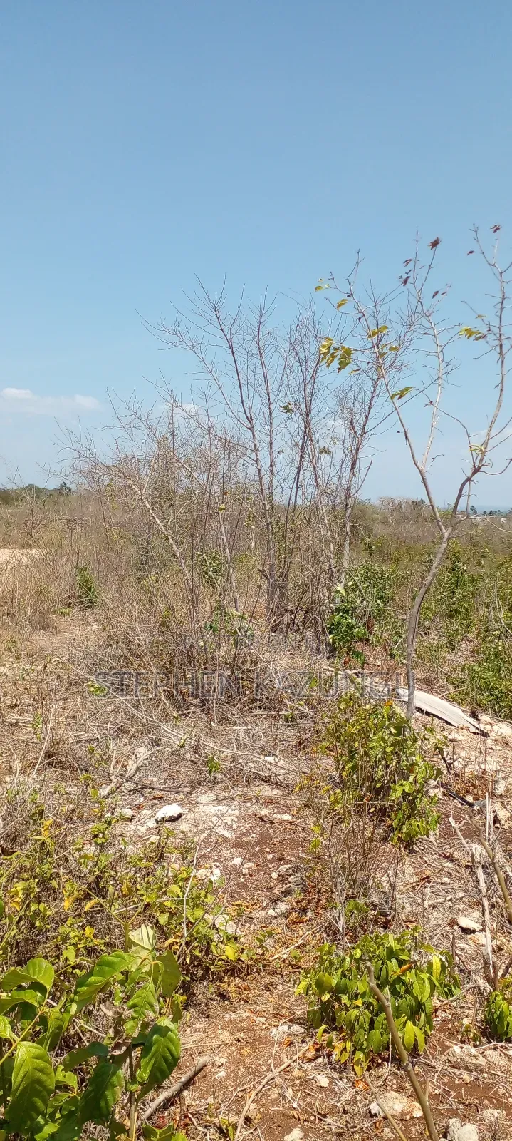 1/2 Acre Plot on 3rd Row in Galu Beach