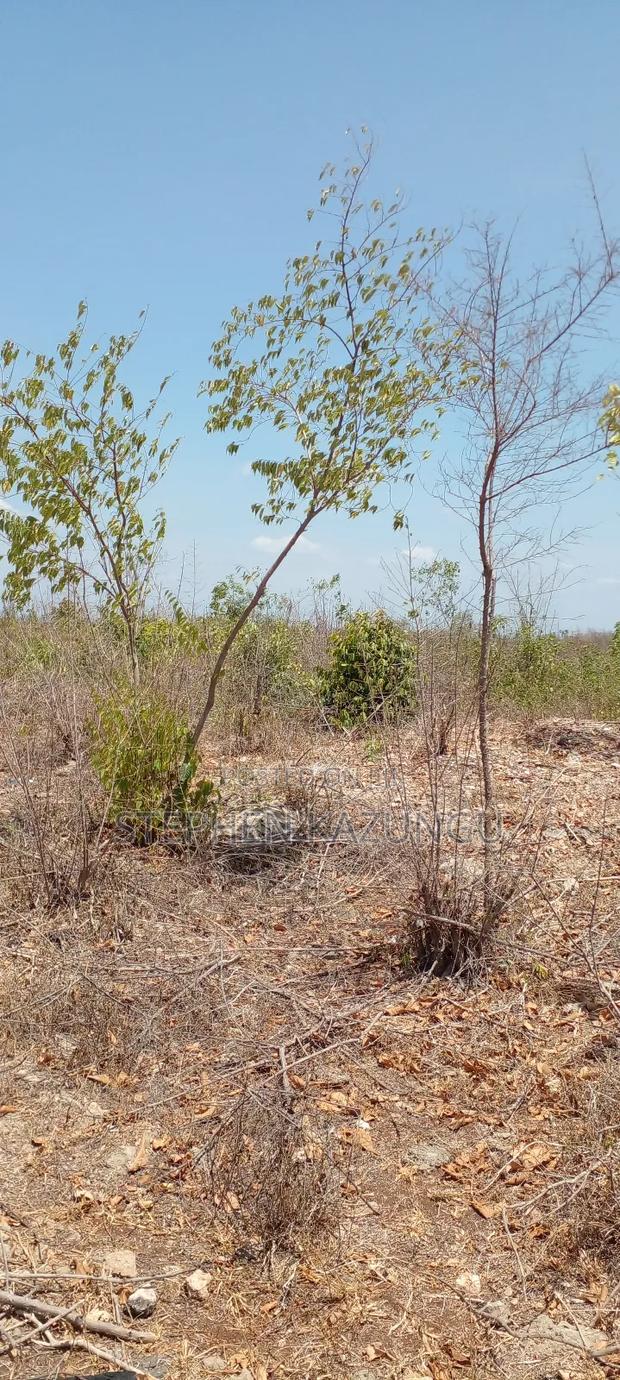 1/2 Acre Plot on 3rd Row in Galu Beach - thumbnail 2
