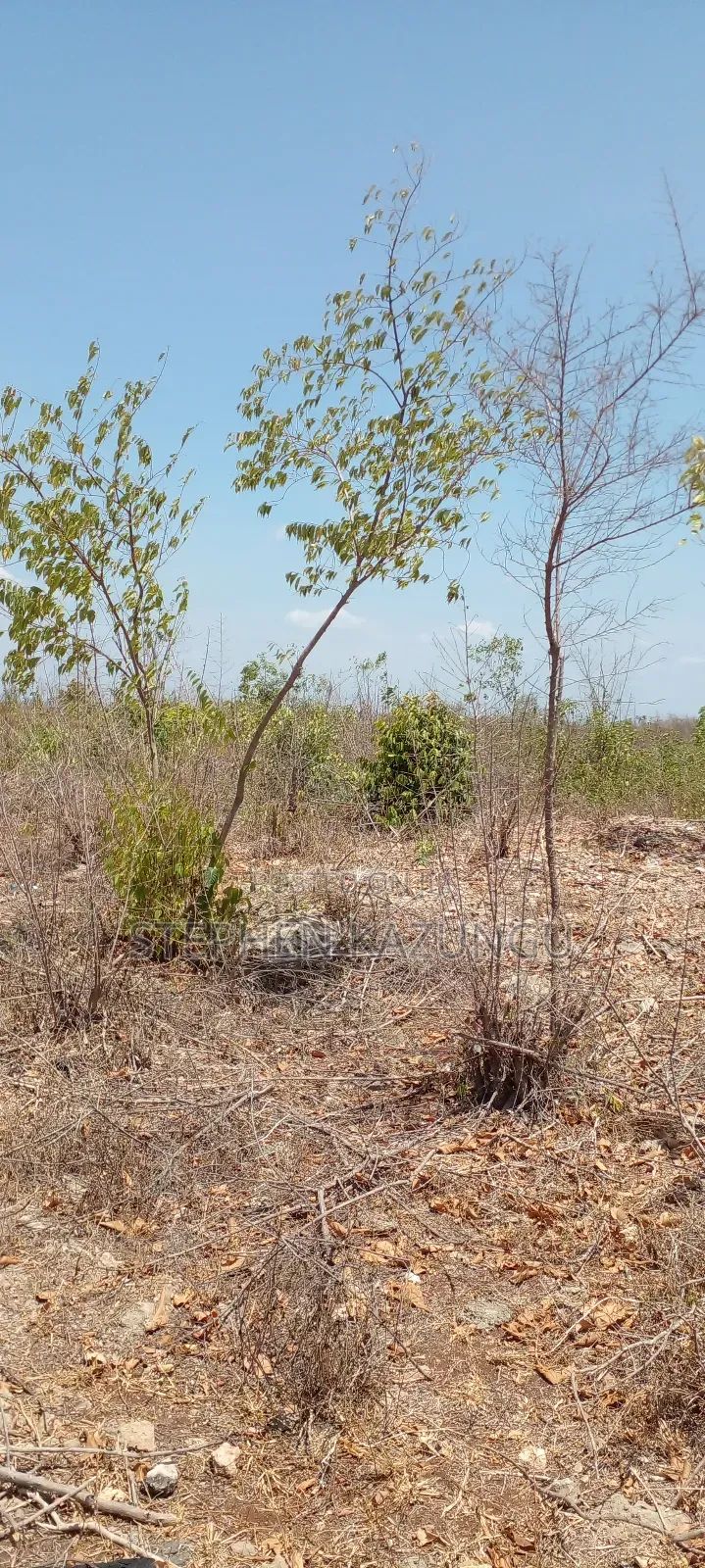 1/2 Acre Plot on 3rd Row in Galu Beach