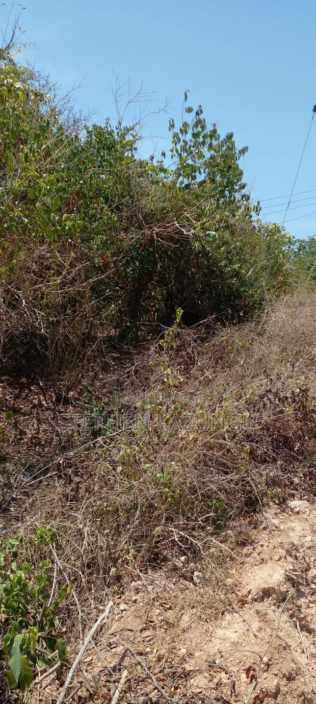 1/2 Acre Plot on 3rd Row in Galu Beach - thumbnail 7