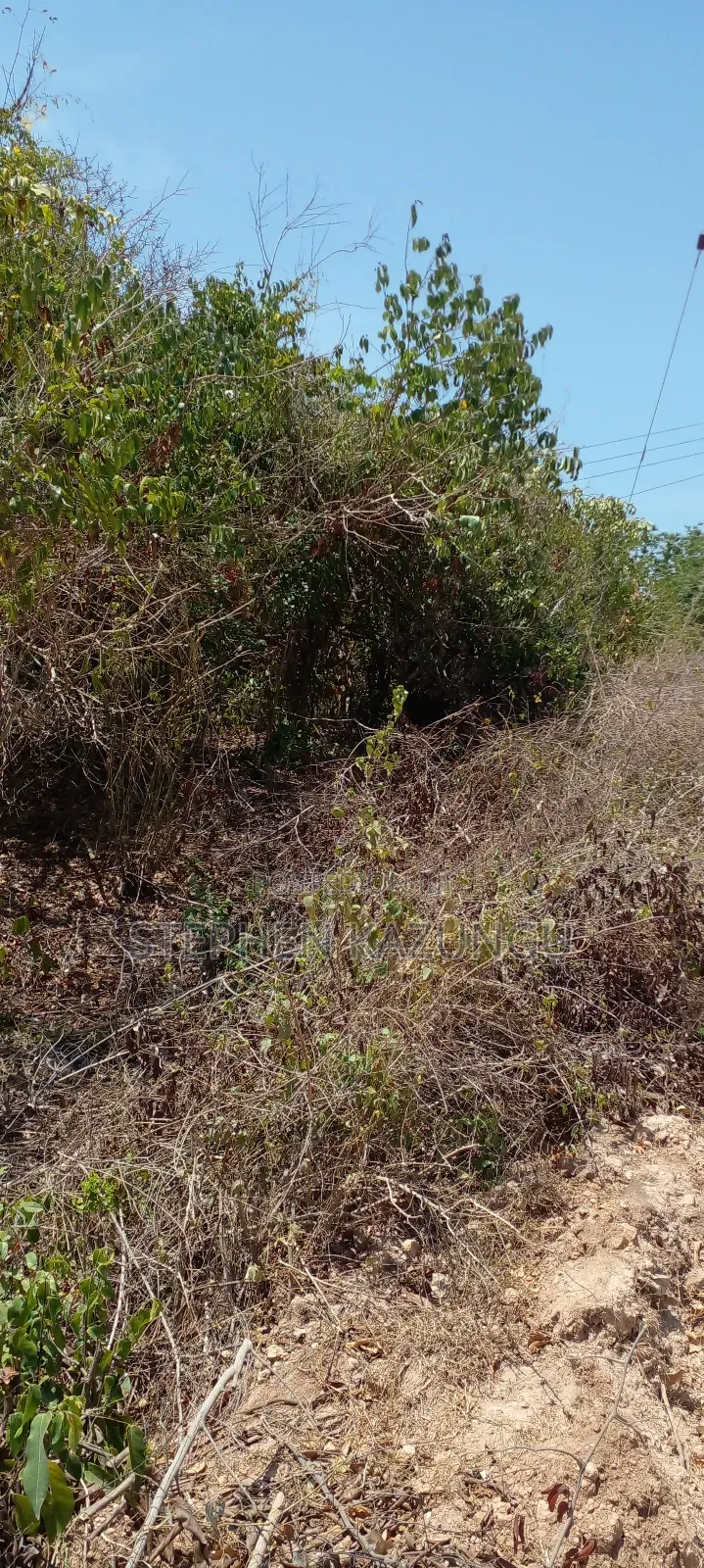 1/2 Acre Plot on 3rd Row in Galu Beach