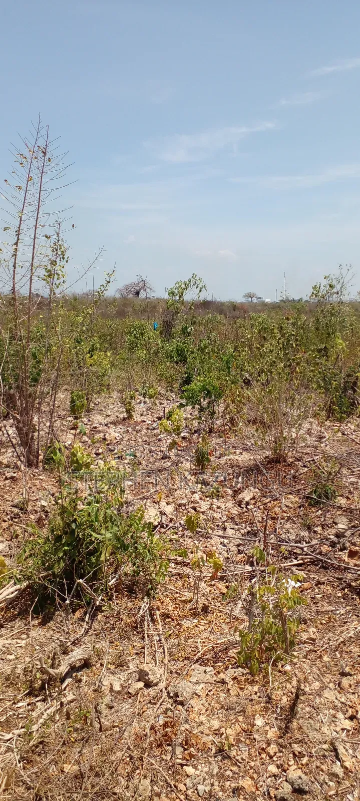 1/2 Acre Plot on 3rd Row in Galu Beach