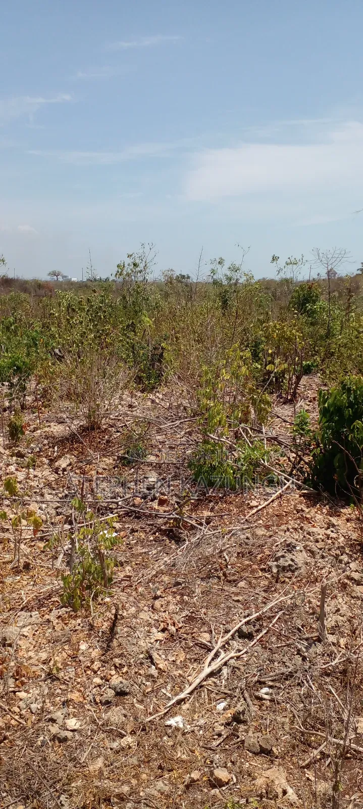 1/2 Acre Plot on 3rd Row in Galu Beach
