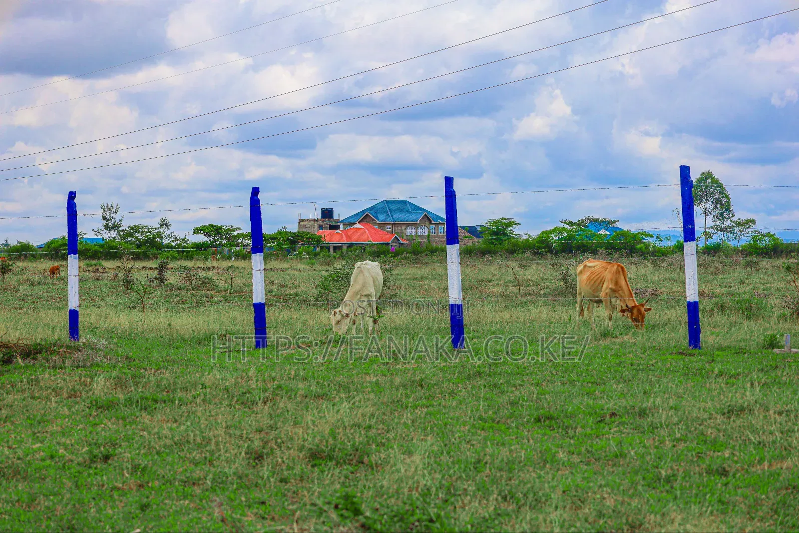 Prime Residential Plots for Sale in Kamakis