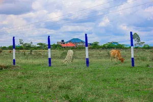 Prime Residential Plots for Sale in Kamakis