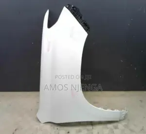 Toyota Land Cruiser Prado 150 Fenders