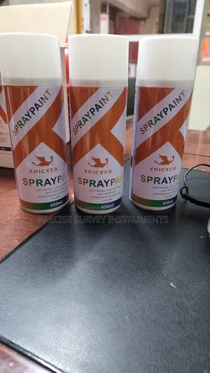 Exterior Spray Paint [Wholesale Only]