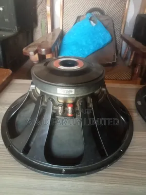 Soundking Fb1503h 15 Inch Naked Midrange Speaker