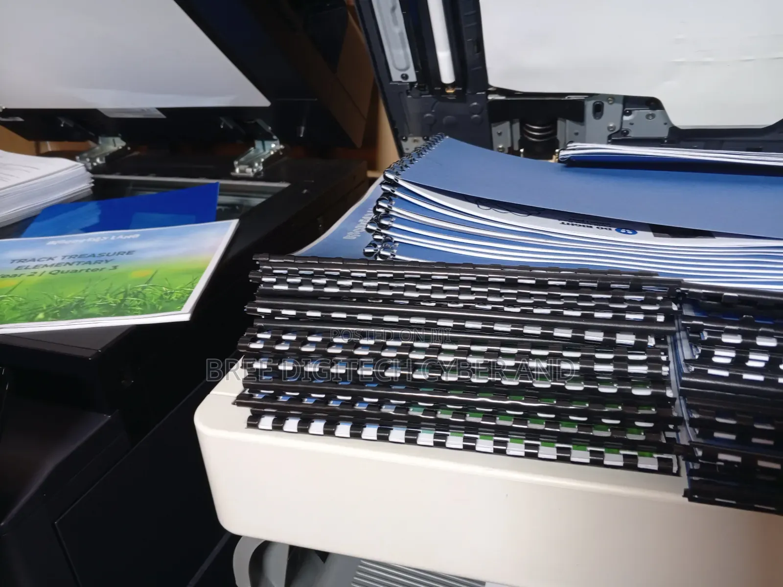 Bulk Color Printing