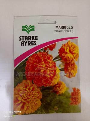 Marigold Dwarf Double Flower Seeds 3grams - thumbnail 2