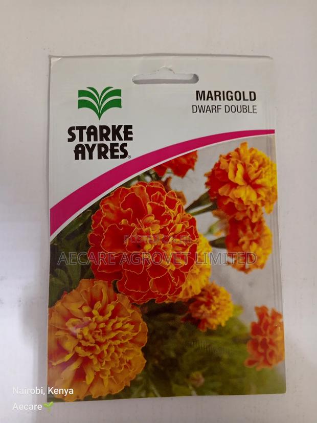 Marigold Dwarf Double Flower Seeds 3grams - main view