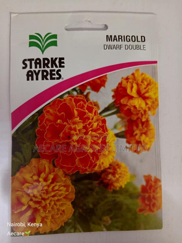 Marigold Dwarf Double Flower Seeds 3grams - thumbnail 3