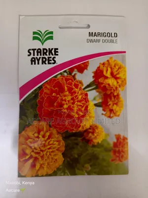 Marigold Dwarf Double Flower Seeds 3grams